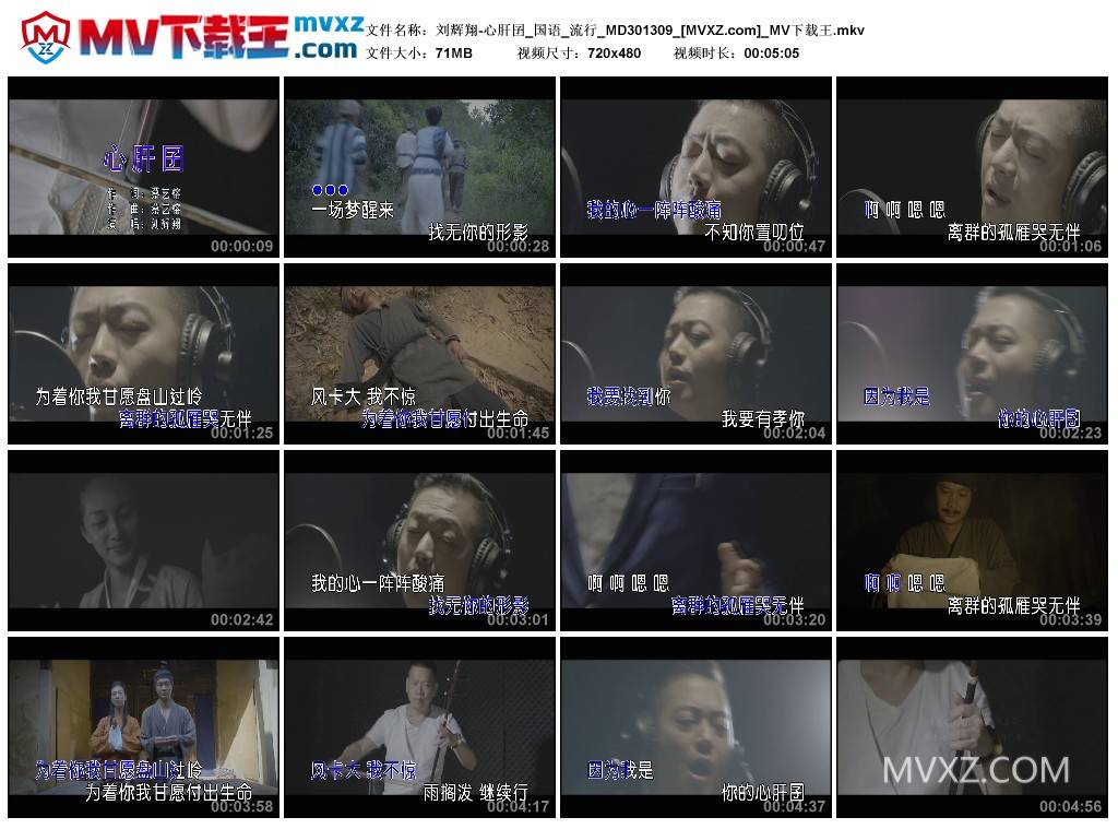 刘辉翔-心肝囝_国语_流行_MD301309